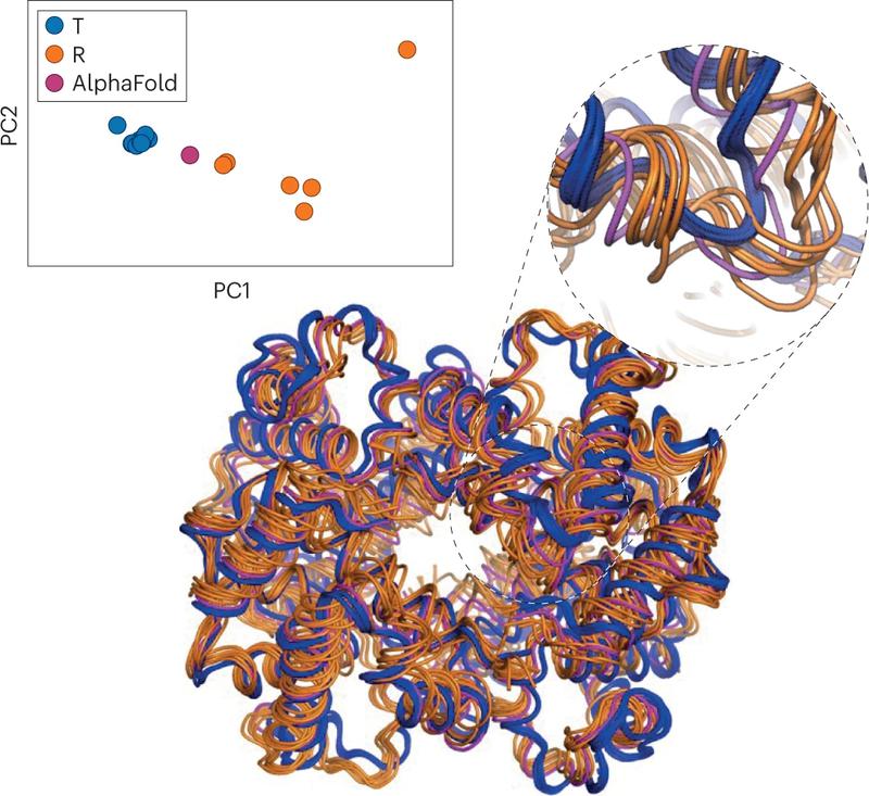 Hemoglobin